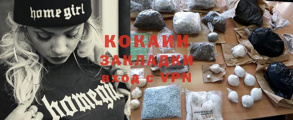 mdpv Бородино