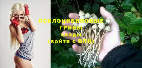 apvp Бугульма