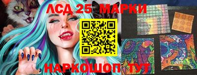 Альфа ПВП Беслан