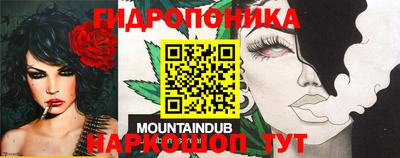 тгк Кимры