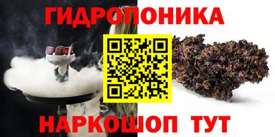 тгк Кимры