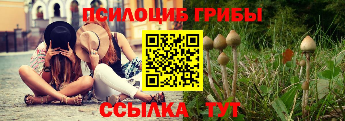 Галлюциногенные грибы Psilocybine cubensis  Вход с VPN  Буйнакск  Галлюциногенные грибы GOLDEN TEACHER 