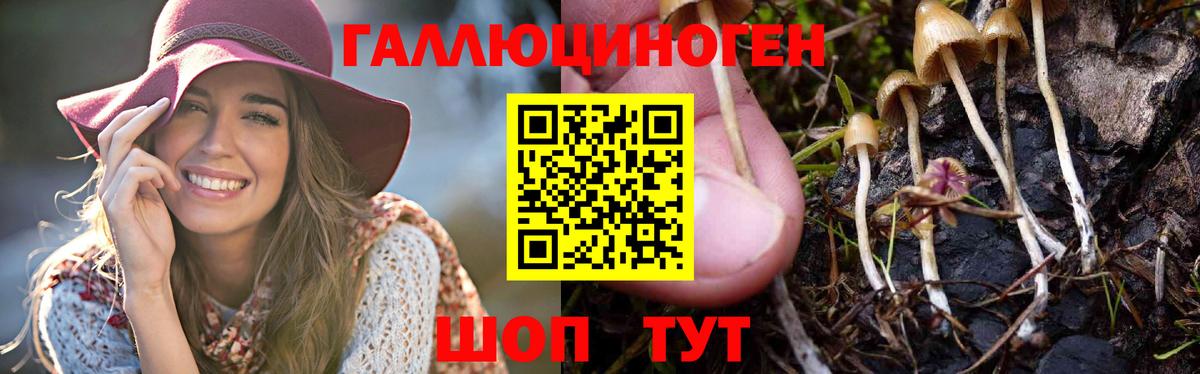 Галлюциногенные грибы Magic Shrooms Буйнакск