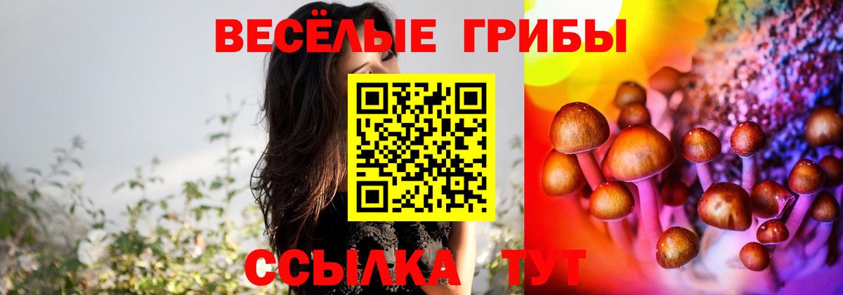 Галлюциногенные грибы GOLDEN TEACHER  купить наркотик  Буйнакск  Галлюциногенные грибы ЛСД 